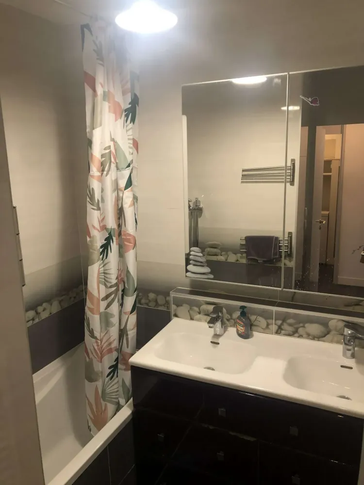 bordeaux-nord-salle-de-bain-avec-vasque