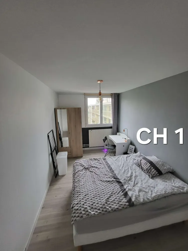 bordeaux-nord-chambre-spacieuse-et-calme