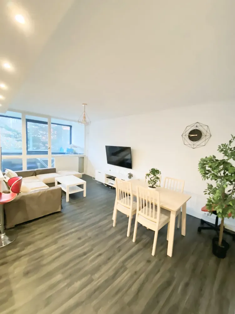 SALON ET SALLE A MANGER