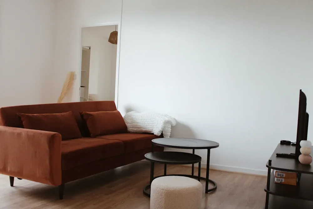 SALON COTE CANAPE(1)