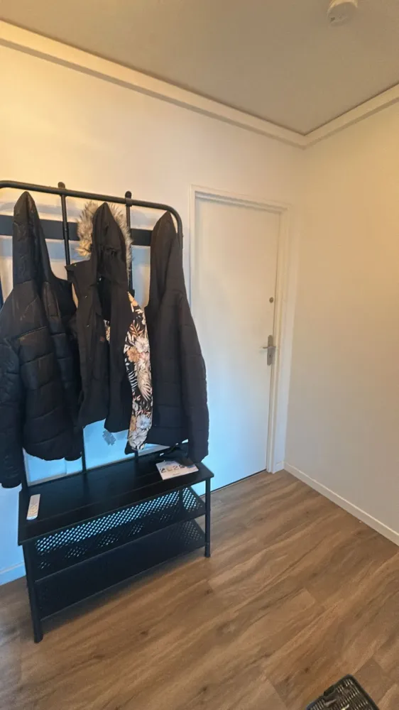 PHOTO-2026-01-23-11-02-27